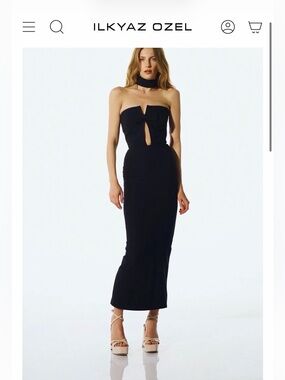 The New Arrivals, Black Holly In Sing Sing Dress, NWT,  Sz 6 (38), $1050 retail